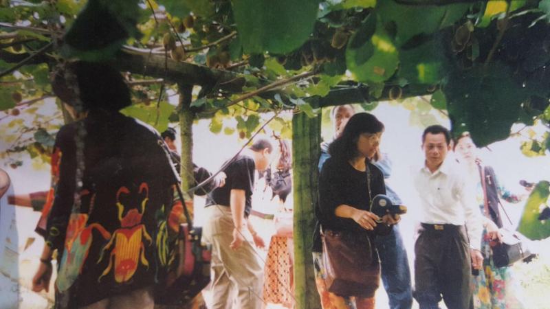 Waitomo Orchard B&B image