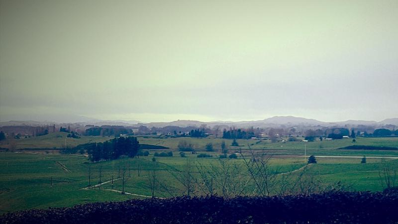Waitomo Orchard B&B image