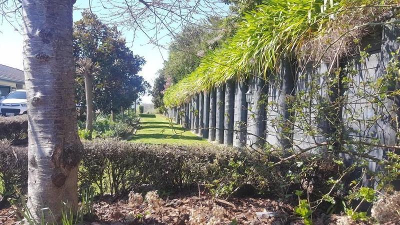 Waitomo Orchard B&B image