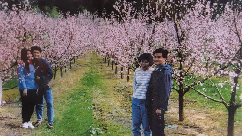 Waitomo Orchard B&B image