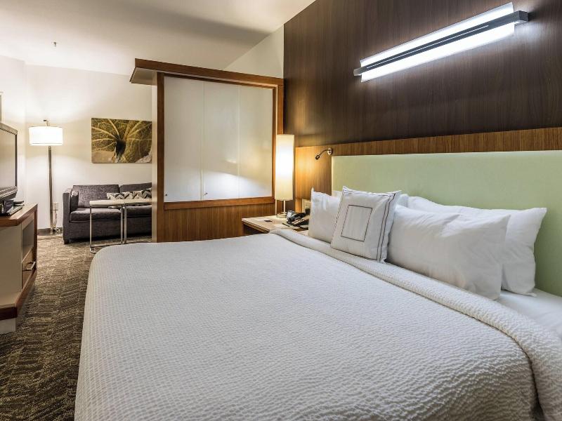 Springhill Suites Statesboro University Area image