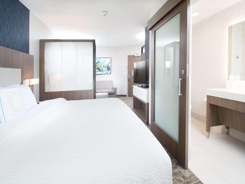 Suite, 1 King Bed with Sofa bed (Hearing Accessible) (1 King Bed and 1 Double Sofa Bed)