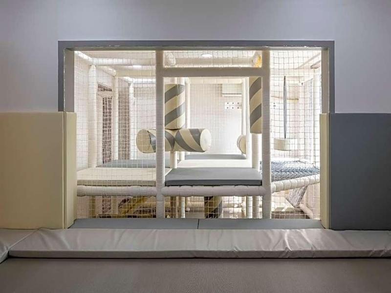 Homefourest Resort image