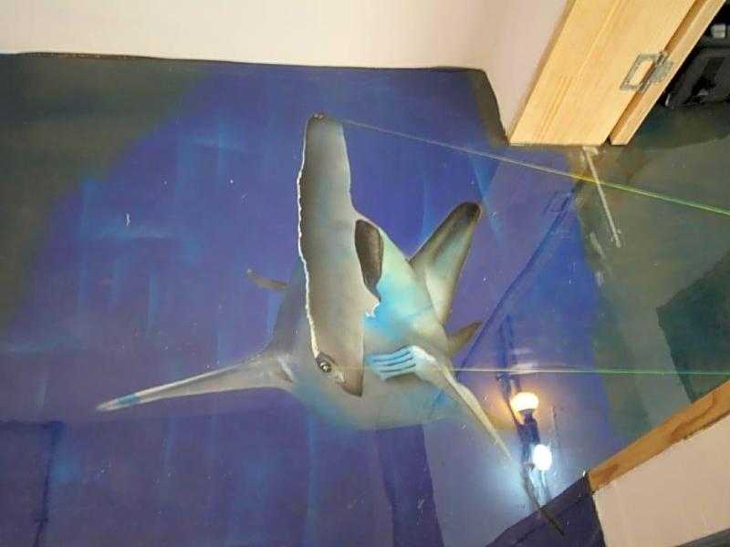 Time Travelers Party Hostel In Hongdae image