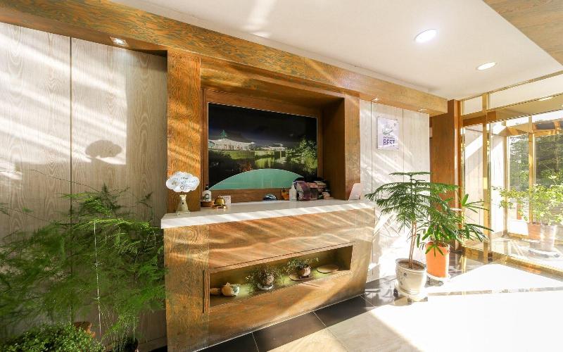 Hansol Motel image