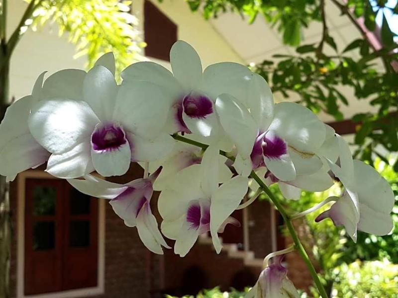 Krabi Discovery Resort image