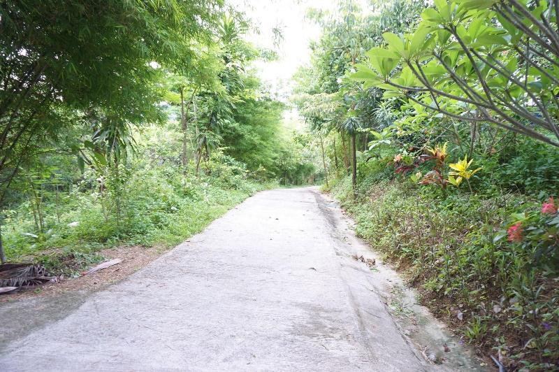 Lamai Koh Phayam Resort