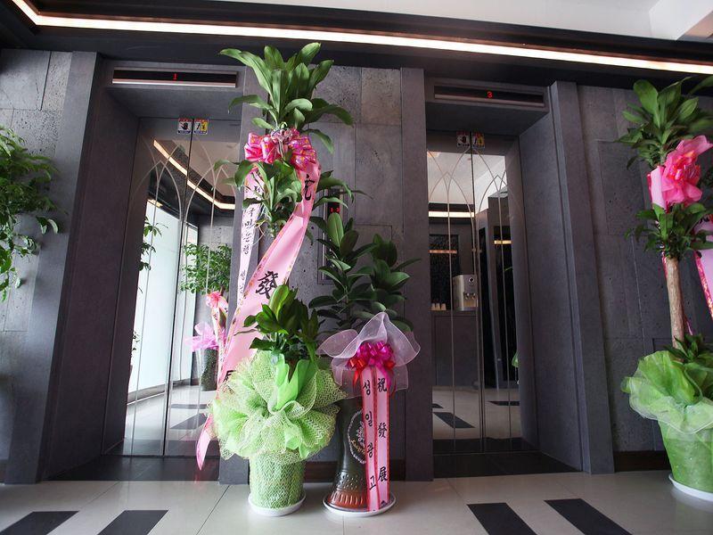 Hotel Luxe