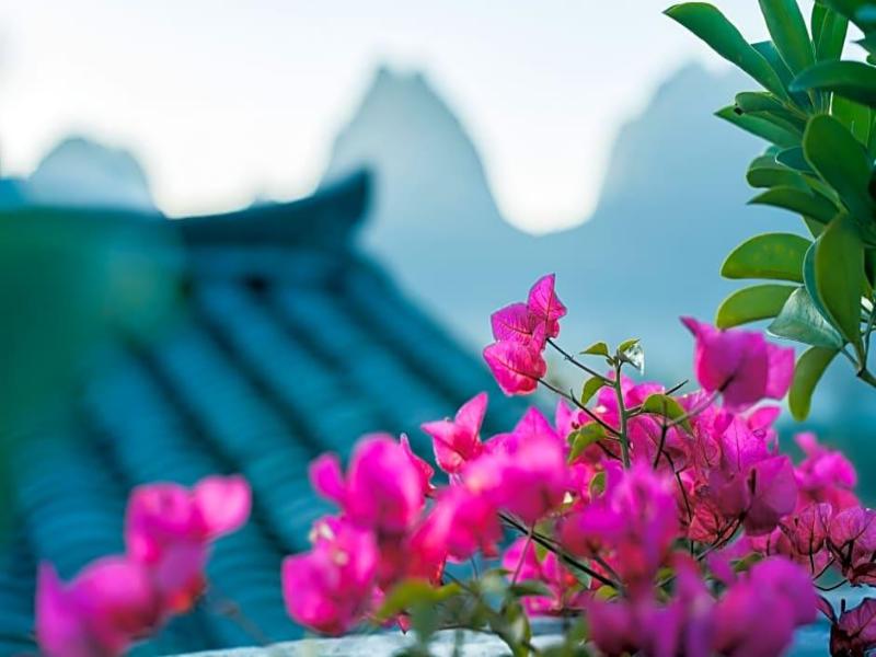 YANGSHUO MOUNTAIN NEST BOUTIQUE HOTEL image