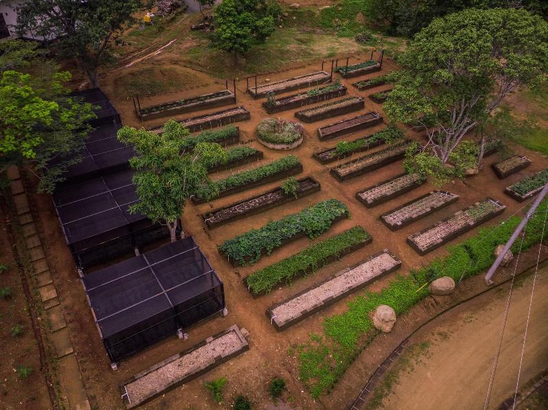 Treecasa Resort image