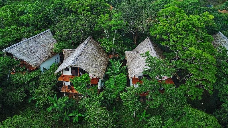 Treecasa Resort image