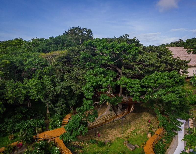 Treecasa Resort image