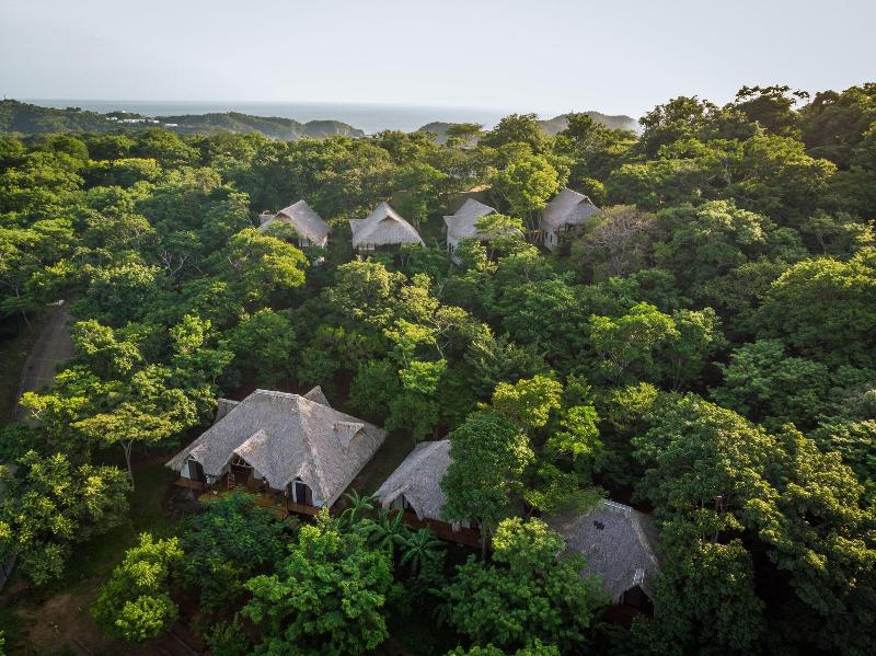 Treecasa Resort image