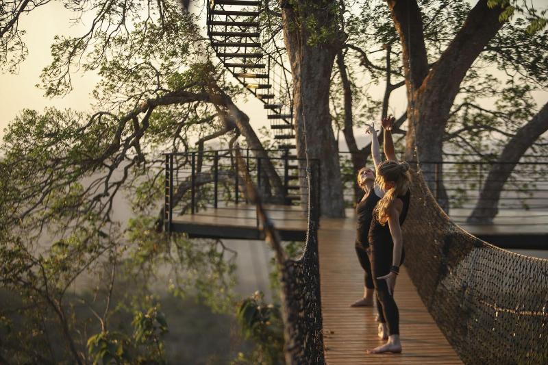 Treecasa Resort image