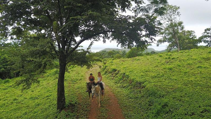 Treecasa Resort image