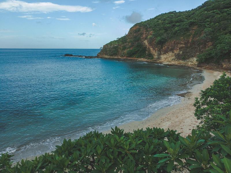 Treecasa Resort image