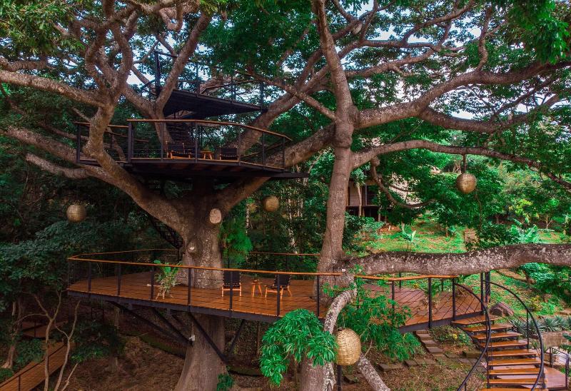 Treecasa Resort image