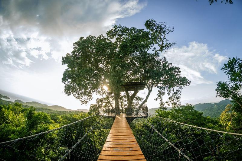 Treecasa Resort image