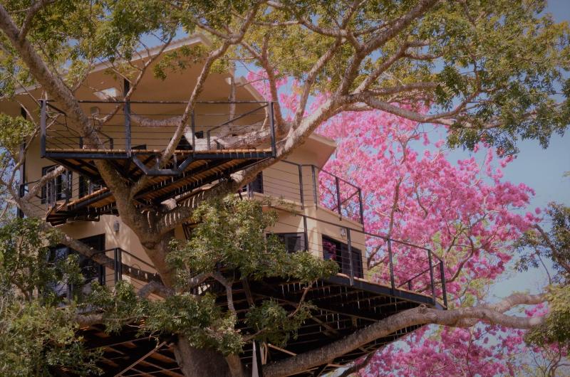 Treecasa Resort image