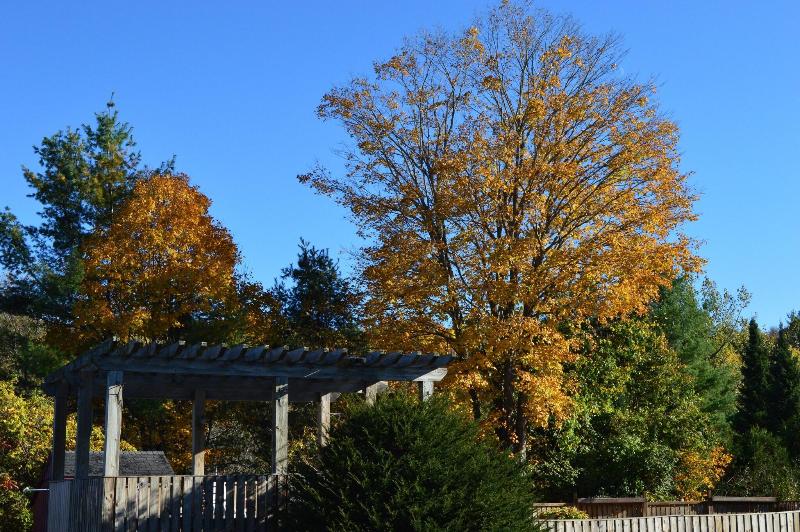 Hollow Inn And Motel image