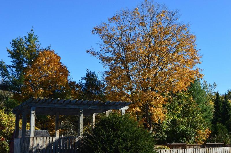 Hollow Inn And Motel image