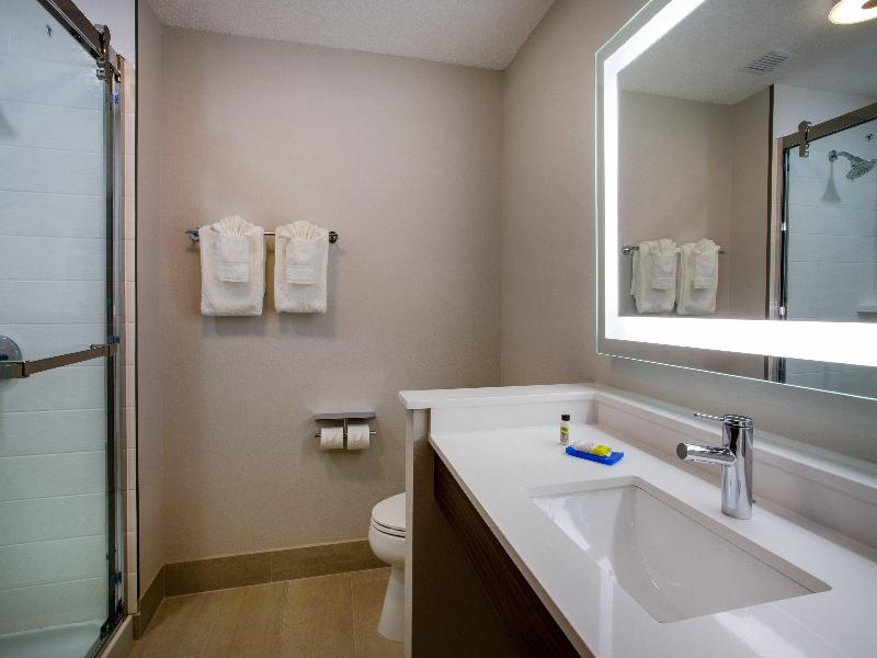 Holiday Inn Express & Suites Deland South image