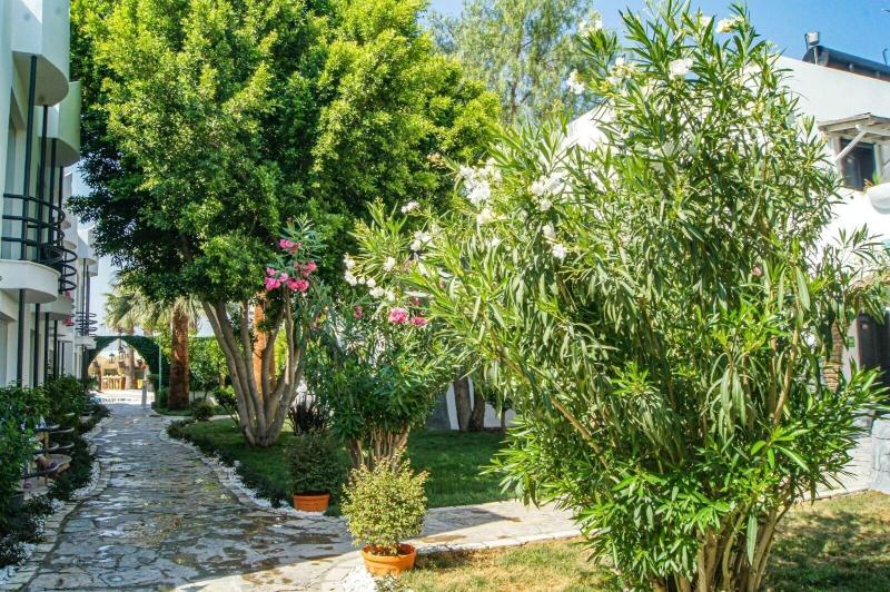 Dream Palace Bodrum image
