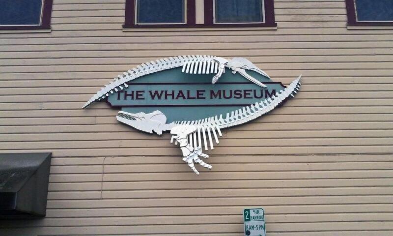 The Orca Inn image