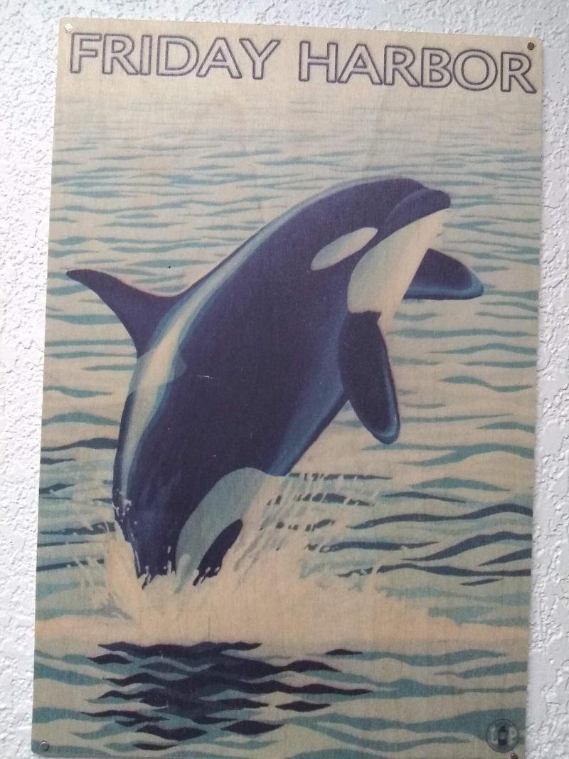 The Orca Inn image