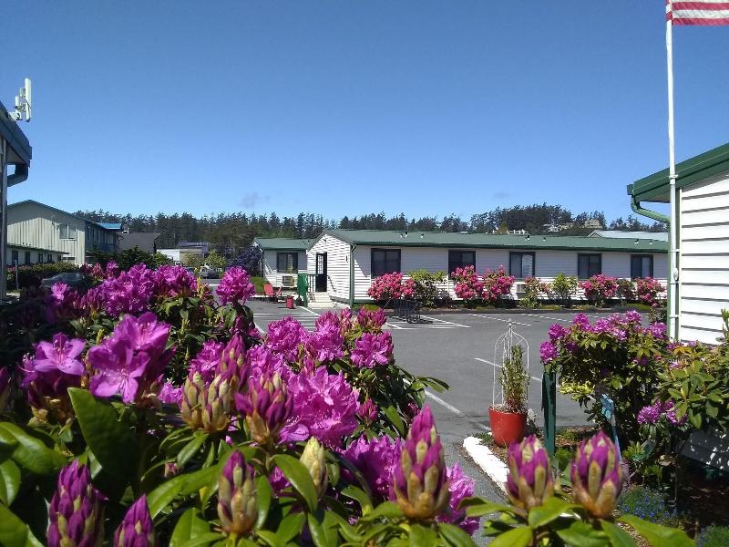 The Orca Inn image