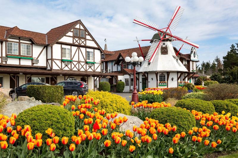 Auld Holland Inn image