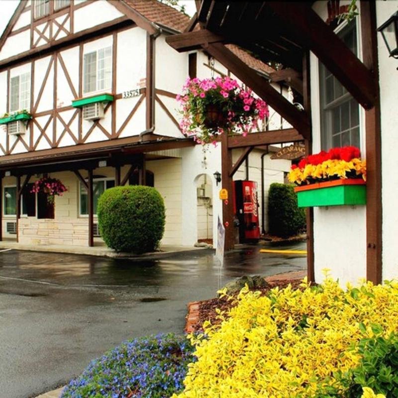 Auld Holland Inn image