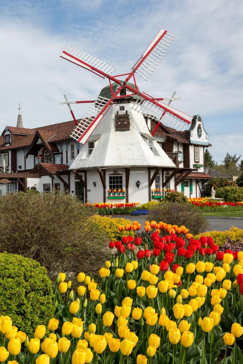 Auld Holland Inn image