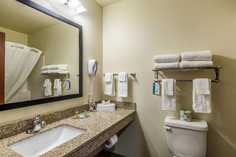 Cobblestone Inn Suites Merrill image