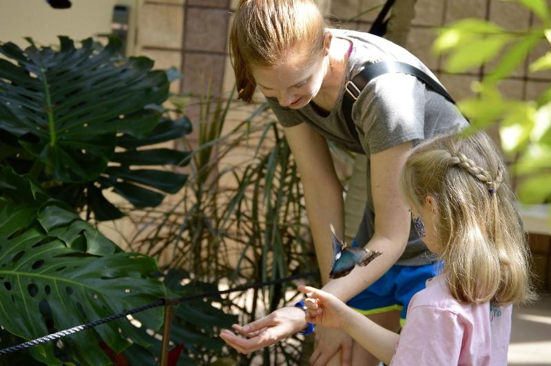 Callaway Resort Gardens image