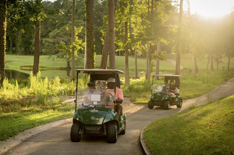 Callaway Resort Gardens image