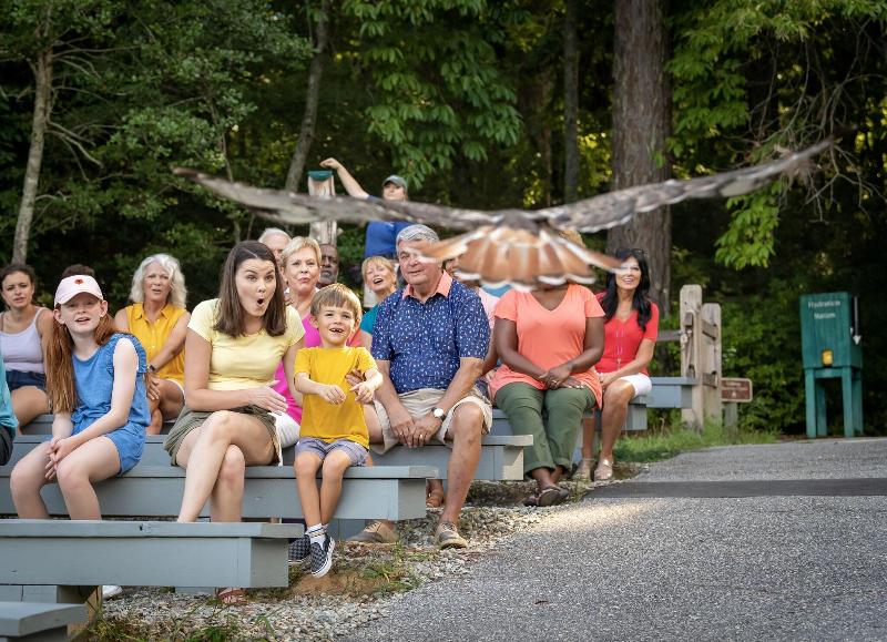 Callaway Resort Gardens image