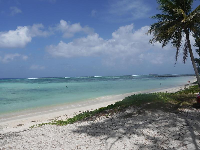 Aquarius Beach Tower image