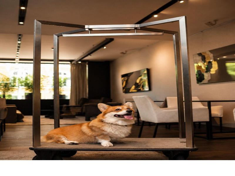 Sense Hotel Sofia, A Member Of Design Hotels image