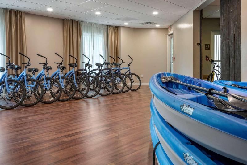 Comfort Inn Connellsvill image