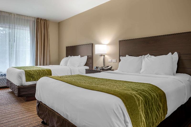 Comfort Inn Connellsvill image