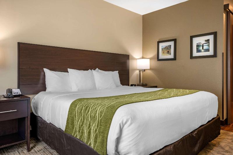 Comfort Inn Connellsvill image