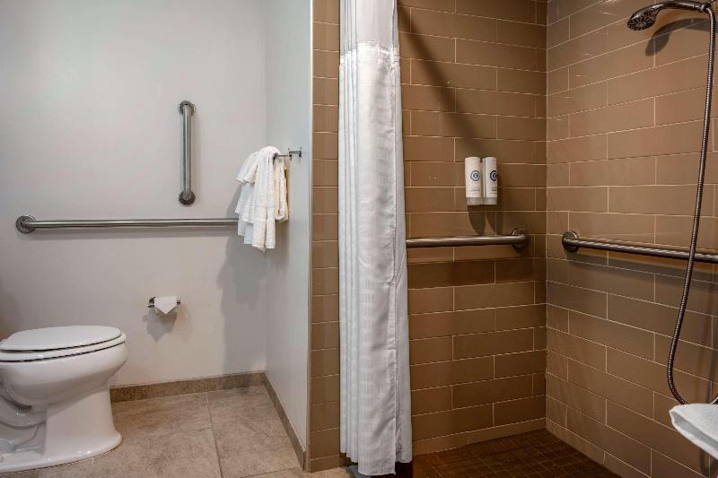 Comfort Inn Connellsvill image