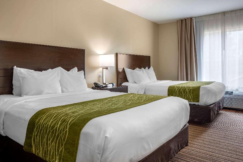 Comfort Inn Connellsvill image