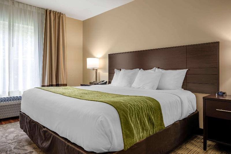 Comfort Inn Connellsvill image