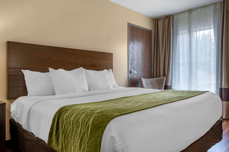 Comfort Inn Connellsvill image