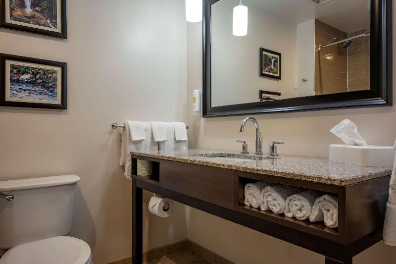 Comfort Inn Connellsvill image