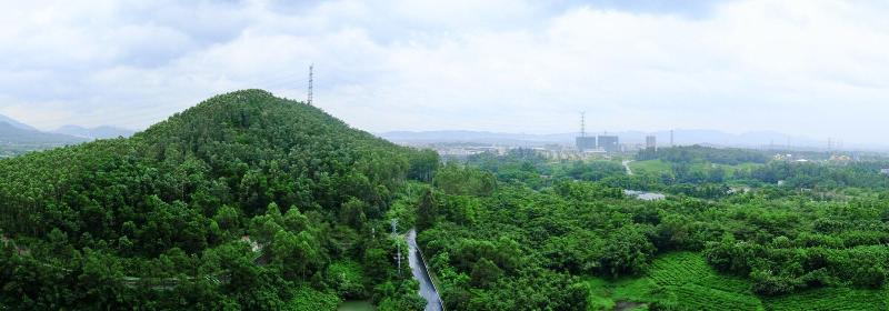 Foshan Ln Garden Hotel image