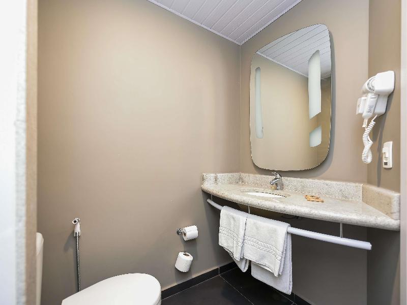 ibis Jacarei image