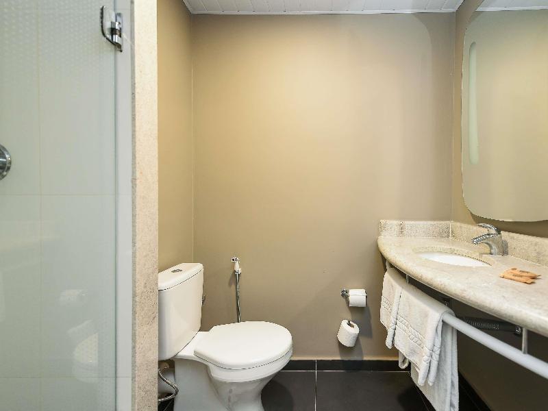 ibis Jacarei image